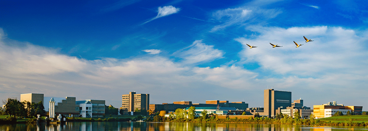 University at Buffalo Skyline